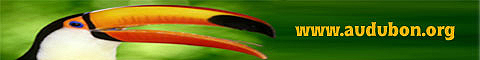 National Audubon Society