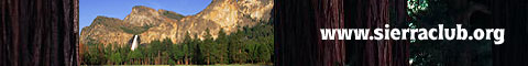 The Sierra Club